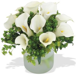 China Calla Lilies (Nov-May) China,,China:Beauty